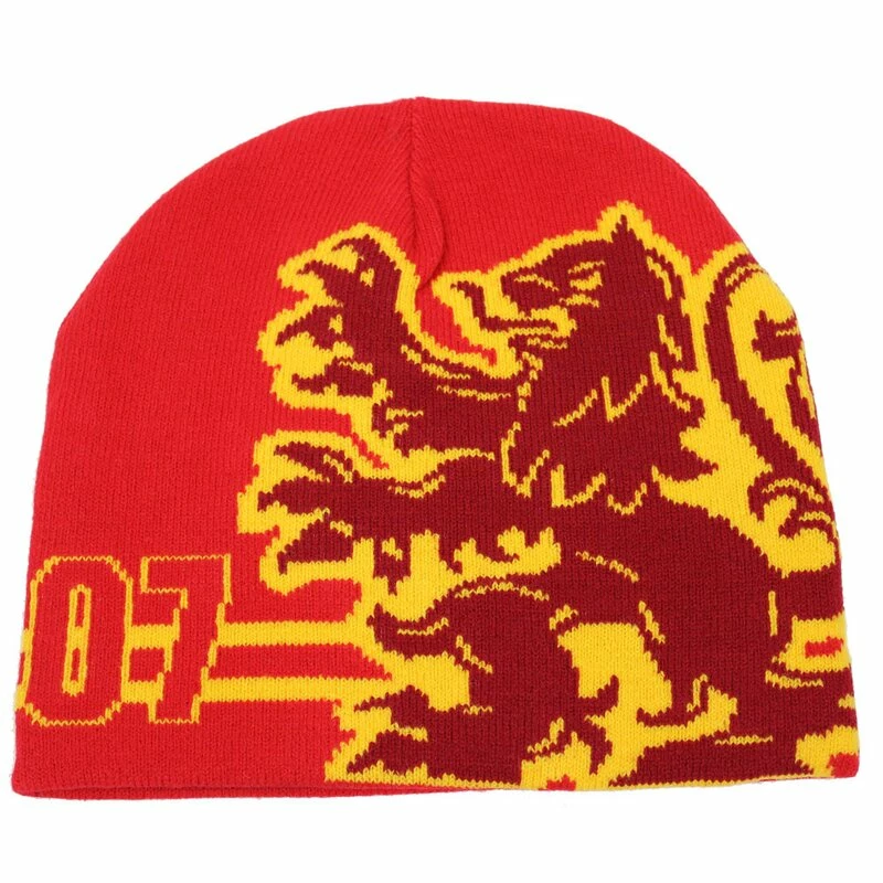 Harry Potter Reversible Beanie - Potter / Gryffindor 3 Harry Potter Reversible Beanie - Potter / Gryffindor